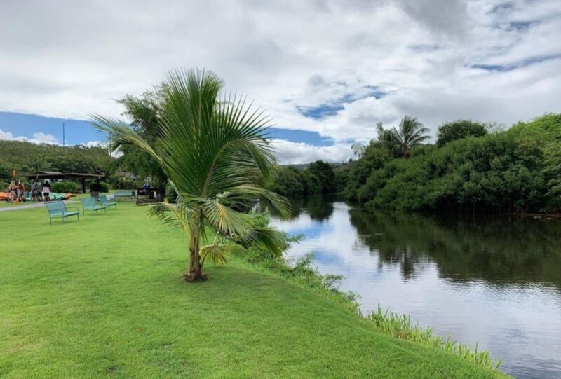 North Shore's best day! River, Turtles, Farm with Lunch - Farm Interactions: Animal Fun & Local Vibe