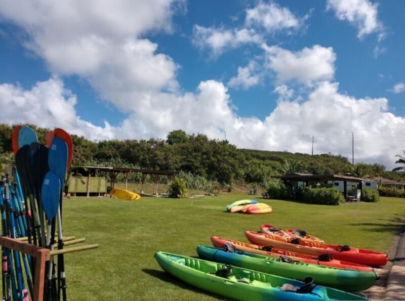 North Shore's best day! River, Turtles, Farm with Lunch - Ending the Day