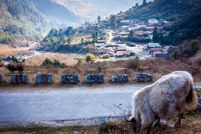 North Sikkim 6 Days Tour - Assessing the Value: Is it Worth It?