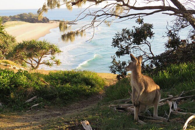 North Stradbroke Island Private Cultural Tour from Brisbane - Starting the Journey: The Ferry Ride from Cleveland