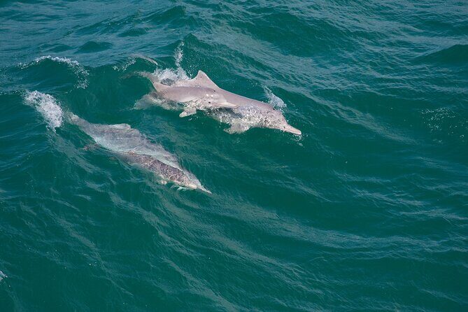 North Stradbroke Island Private Tour with Pickup - Practical Details: What You Need to Know