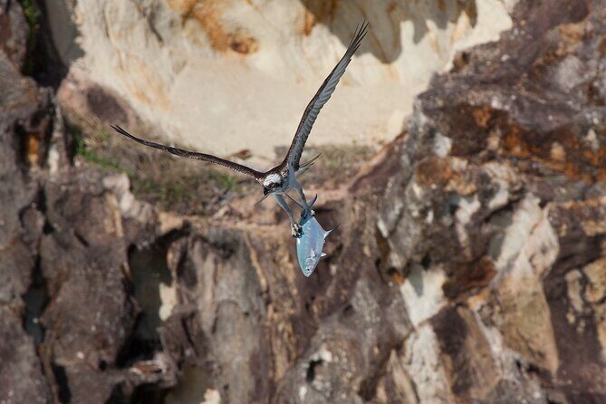 North Stradbroke Island Private Tour with Pickup - The Sum Up