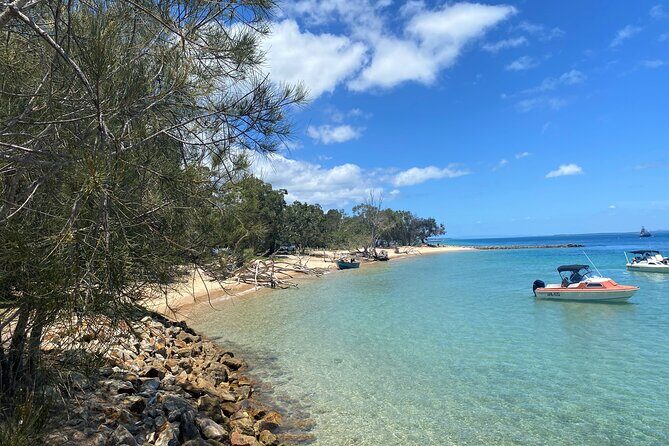 North Stradbroke Island WILDLIFE Adventure Tour from Brisbane - Introduction