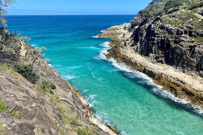 North Stradbroke Island WILDLIFE Adventure Tour from Brisbane - Lunch at Point Lookout