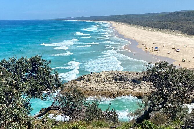 North Stradbroke Island WILDLIFE Adventure Tour from Brisbane - Amity Point and Wildlife Spotting