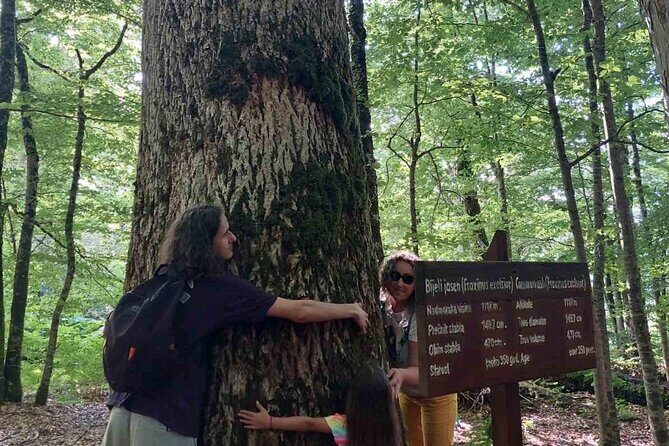 NORTH TOUR Np Biograd Gora-Lake-Moraca Canyon & Monastery-Kolasin - Practical Tips for Travelers