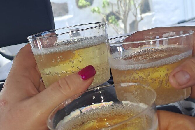 North Tour, Viewpoint, Brunch, White beach & lava pools - Authentic Experiences and Real Reviews