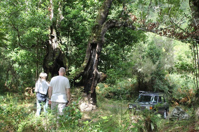 North Tour & Wine Tasting - 4x4 (Small Groups) - FAQ