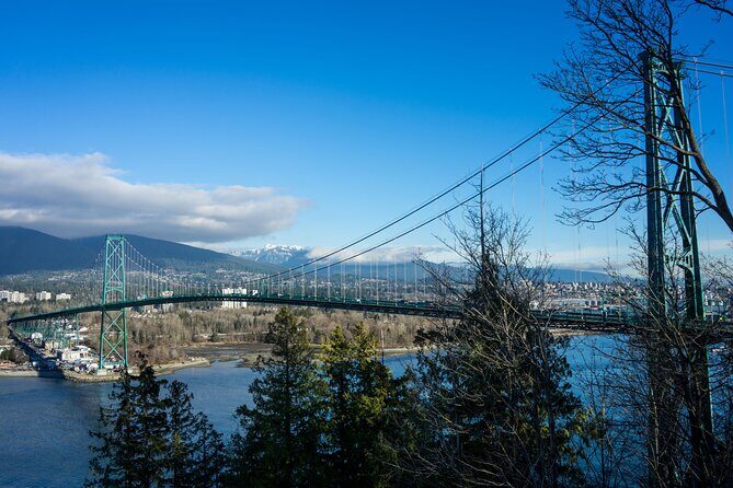 North Vancouver and Grouse Mountain Tour - Who Is This Tour Best For?