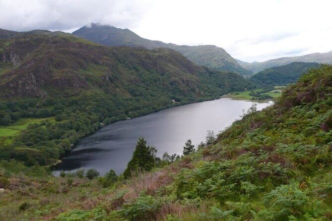 North Wales & Caernarfon Castle Full-Day Tour from Manchester - Who Is This Tour Best For?