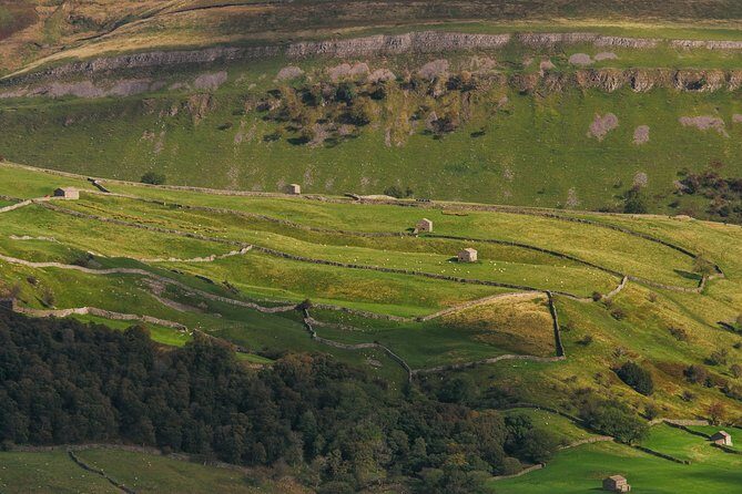 North York Moors and Whitby Day Tour from York - Highlights Based on Real Experiences