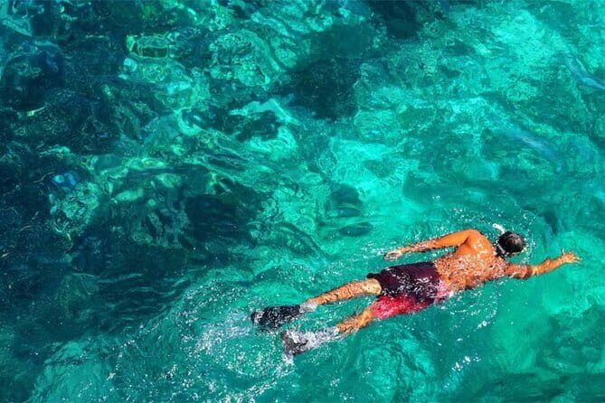 Northern Bali: Dolphin Watching and Snorkeling Experience - What Real Travelers Say