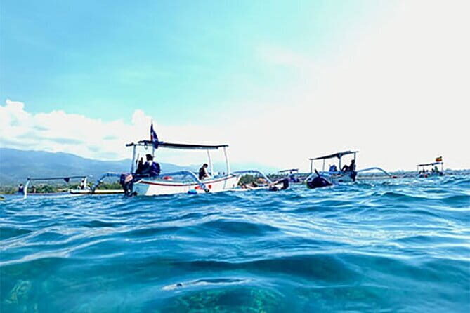 Northern Bali: Dolphin Watching and Snorkeling Experience - Frequently Asked Questions