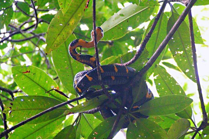 Northern Bintan Full Day Tour - FAQ