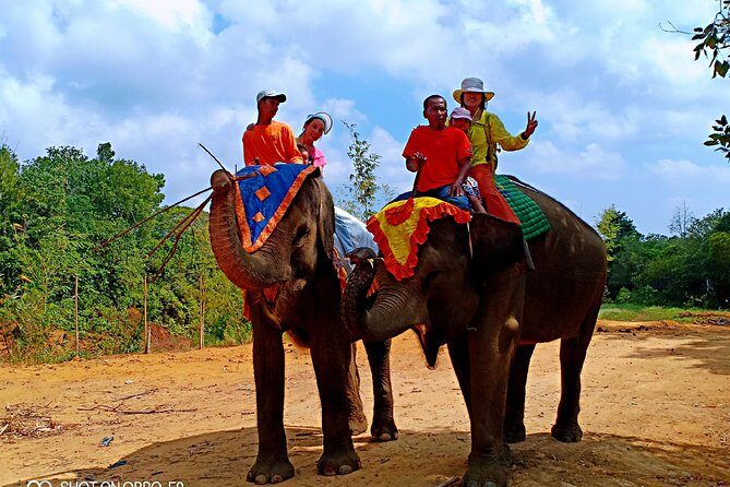 Northern Bintan Full Day Tour - Final Thoughts: Is It Worth It?