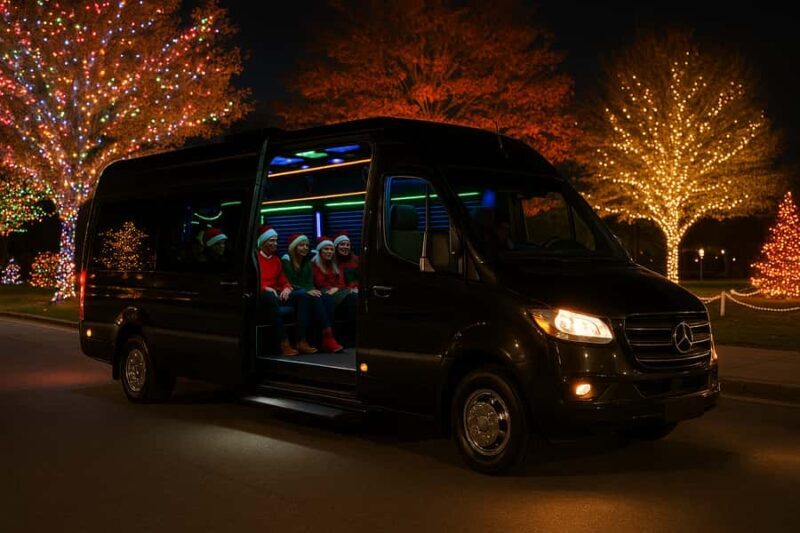 Northern Delaware: Holiday Lights Tour - The Comfort of a Chauffeured Experience