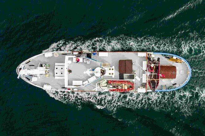 Northern Light cruise on the vintage vessel MS Strønstad - Why This Tour Might Be Perfect for You