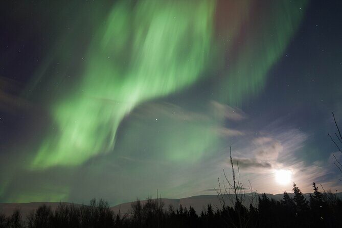 Northern Lights 4x4 Tour from Akureyri - Transportation & Group Size
