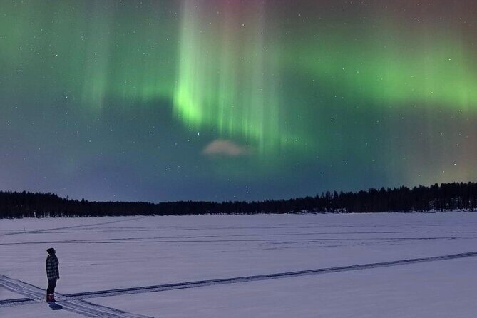 Northern Lights Adventure in the Wild with Campfire Treats - Snowshoe Walks & Scenic Views