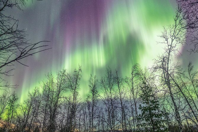Northern Lights Adventure with Greenlander, 8 people max - Key Points