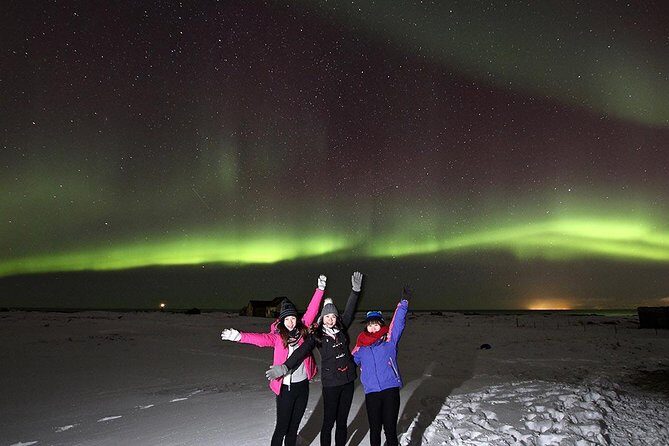 Northern Lights and Stargazing Small-Group Tour with Local Guide - The Sum Up