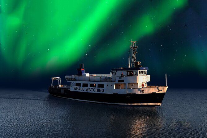 Northern Lights Boat Cruise from Reykjavik - The Itinerary Breakdown