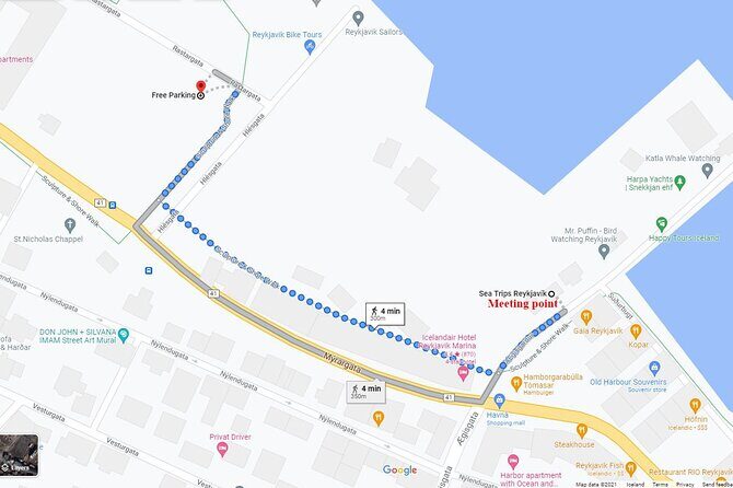 Northern Lights Boat Cruise from Reykjavik - Who Would Love This Tour?