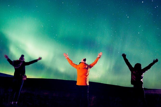 Northern Lights Bus Tour from Reykjavik - The Itinerary in Detail