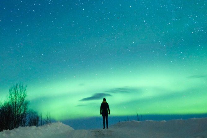 Northern Lights Bus Tour from Reykjavik - The Sum Up