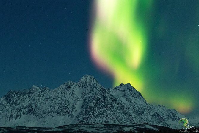 Northern Lights by Minibus. Photos Under the Lights included. Tromso - Key Points