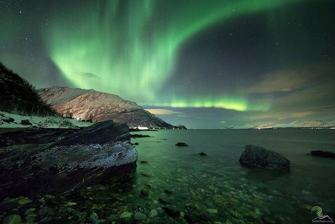 Northern Lights by Minibus. Photos Under the Lights included. Tromso - Weather and Guarantee