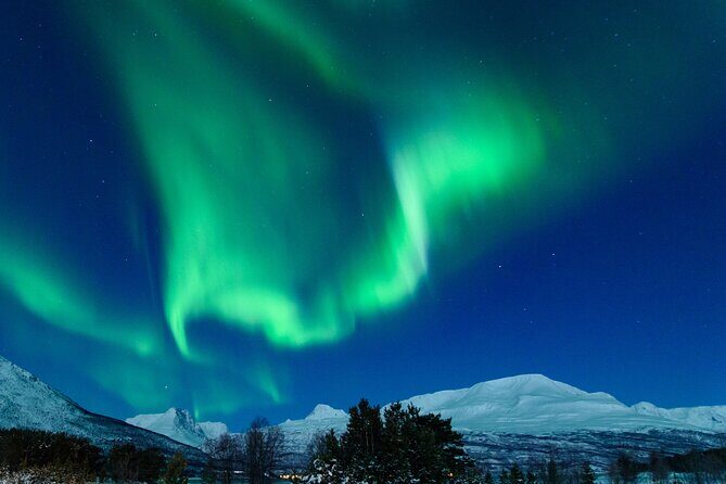 Northern Lights Chase by Bus in Tromso - Final Thoughts