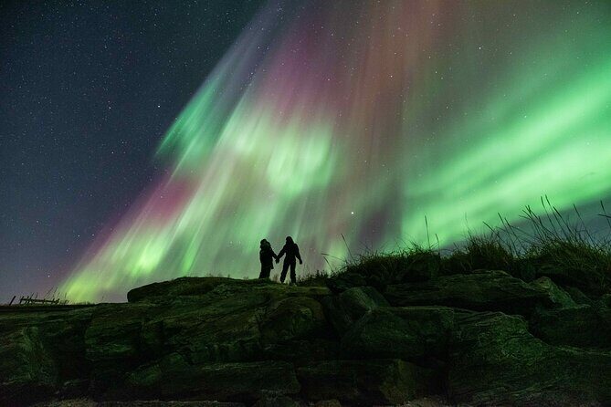 Northern Lights Chase by Minibus - Key Points