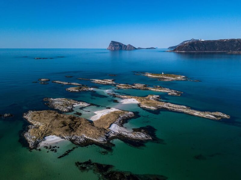 Northern Lights Chase by Minivan with Meal & Photos - Who This Tour Is Perfect For