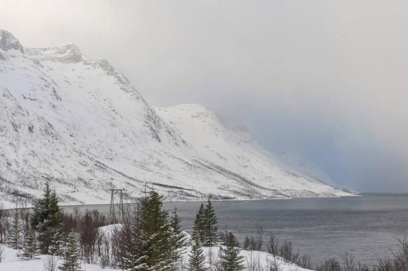 Northern Lights Chase by Minivan with Meal & Photos - Final Thoughts