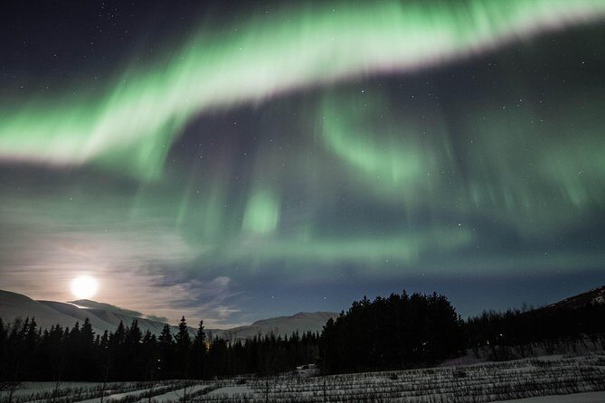 Northern Lights Classic Tour from Akureyri - What to Expect on the Tour
