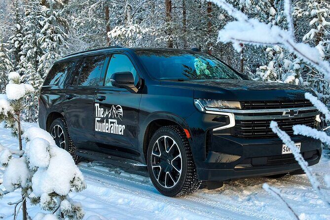 Northern Lights dinner in a Glass Igloo - Introduction: A Unique Arctic Dining Experience in Rovaniemi