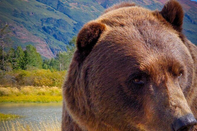 Northern Lights Experience in Anchorage - FAQ