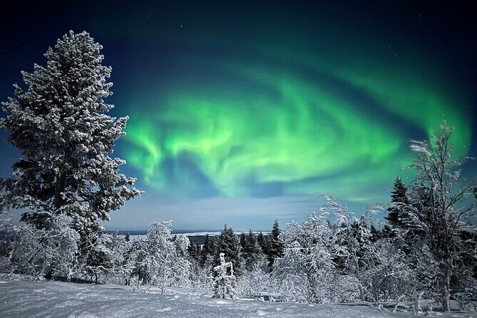 Northern Lights Holiday in Finland - Pricing and Overall Value