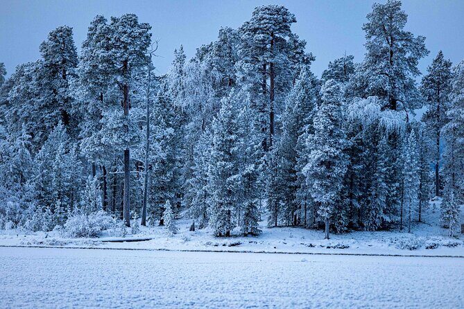 Northern Lights Holiday in Finland - Who Should Consider This Tour?