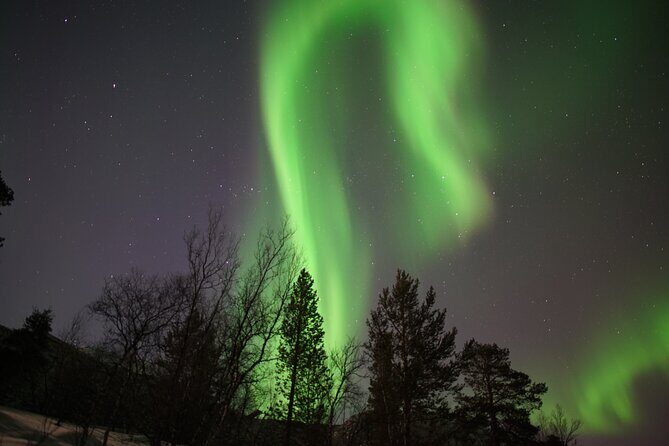Northern Lights Hunt - An In-Depth Look at the Northern Lights Hunt Experience