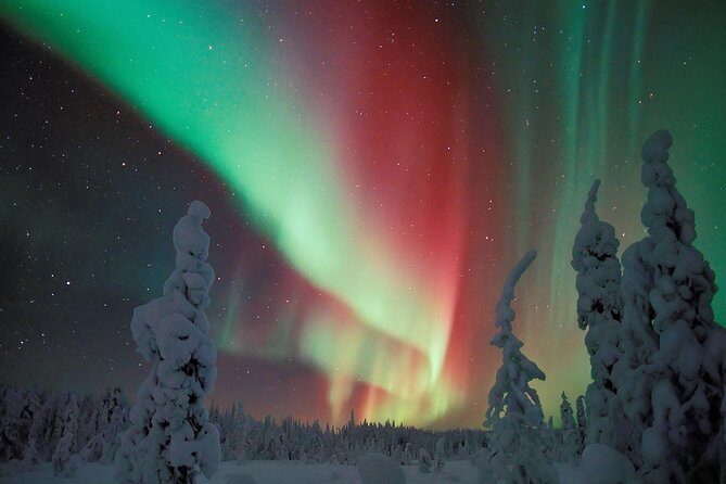 Northern Lights Hunt from Rovaniemi with Folk Tales and Snacks over Campfire - Rovaniemis Northern Lights Hunt with Folk Tales and Campfire Snacks — An Honest Look