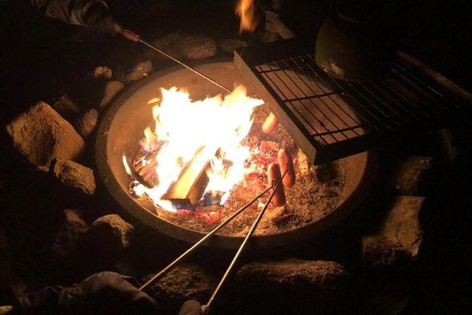 Northern Lights Hunt Including Snacks on Campfire from Levi - What Do Travelers Say?