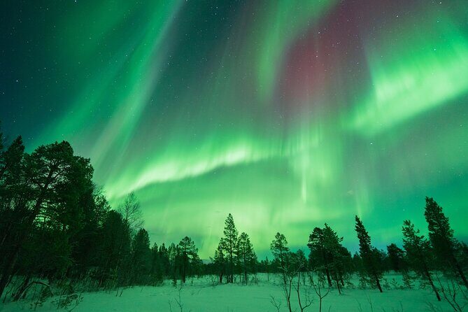 Northern Lights Hunt with The Green Adventure - photos included - The Itinerary in Detail