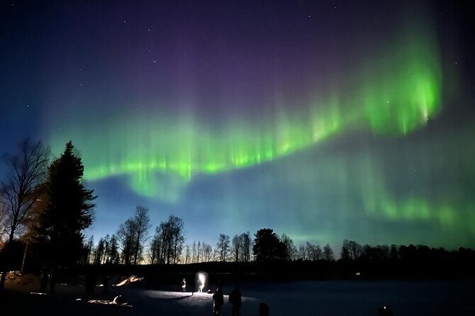 Northern Lights Hunting of Rovaniemi - Who Should Book This Tour?