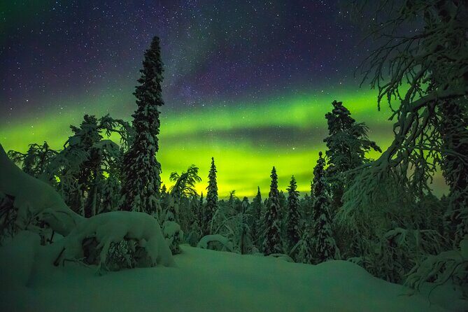 Northern Lights Hunting of Rovaniemi - Frequently Asked Questions