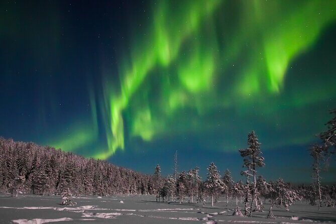 Northern Lights Hunting Photo Tour in Ylläs - Key Points