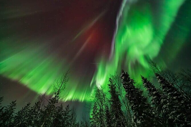 Northern Lights Hunting Tour Rovaniemi - Is This Tour Worth the Price?