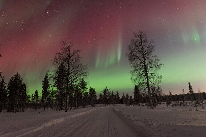Northern Lights Hunting with a photographer (Only small groups) - Key Points