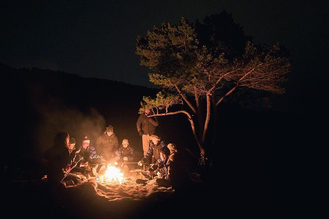 Northern Lights Minibus Chase from Tromso - Real-Life Insights from Reviewers